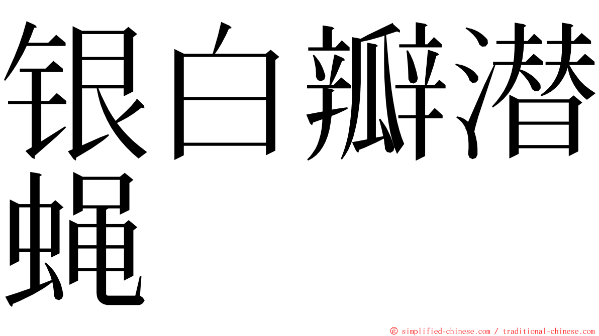 银白瓣潜蝇 ming font