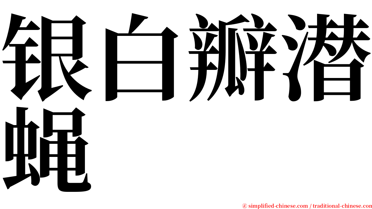 银白瓣潜蝇 serif font