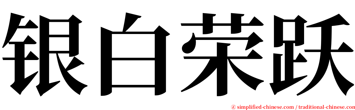 银白荣跃 serif font