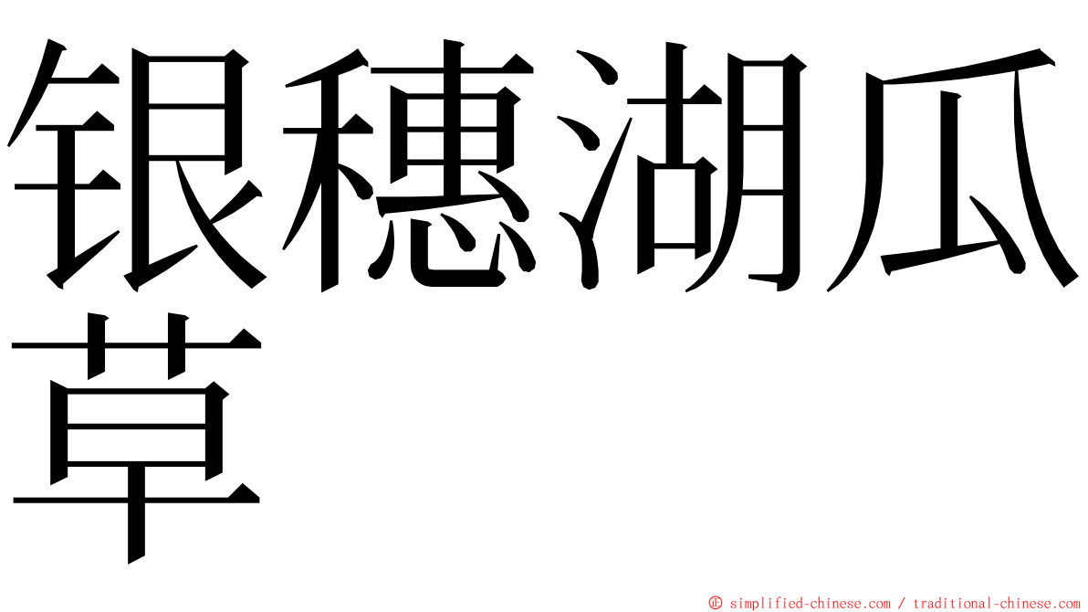 银穗湖瓜草 ming font