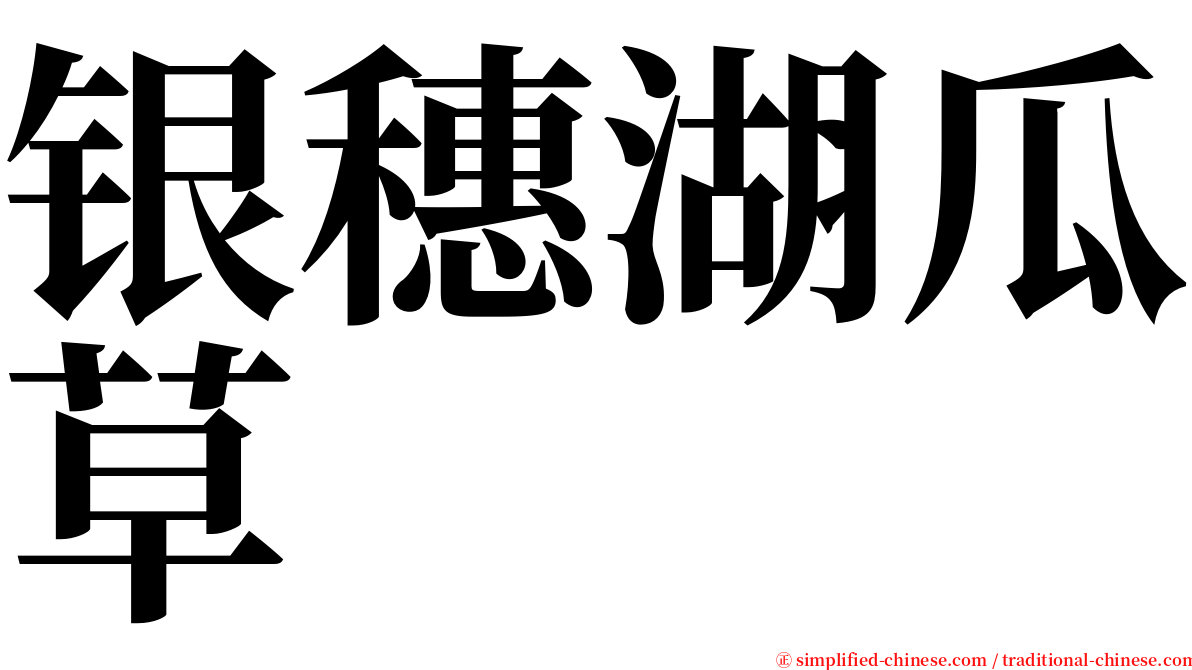 银穗湖瓜草 serif font