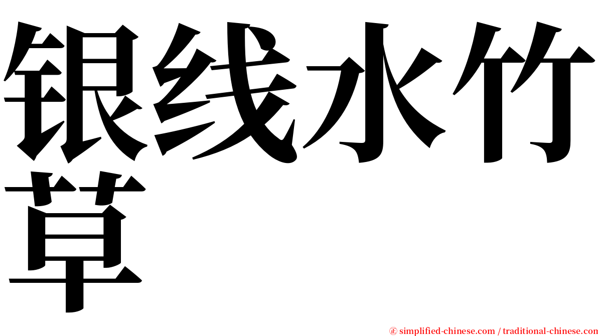 银线水竹草 serif font