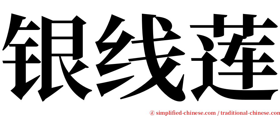 银线莲 serif font