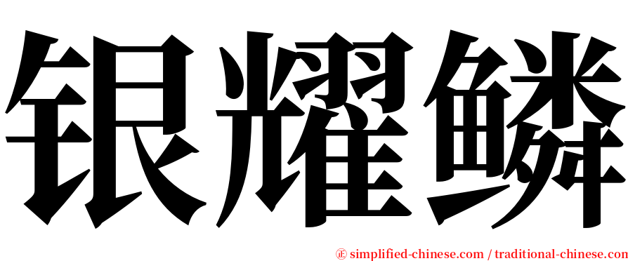 银耀鳞 serif font