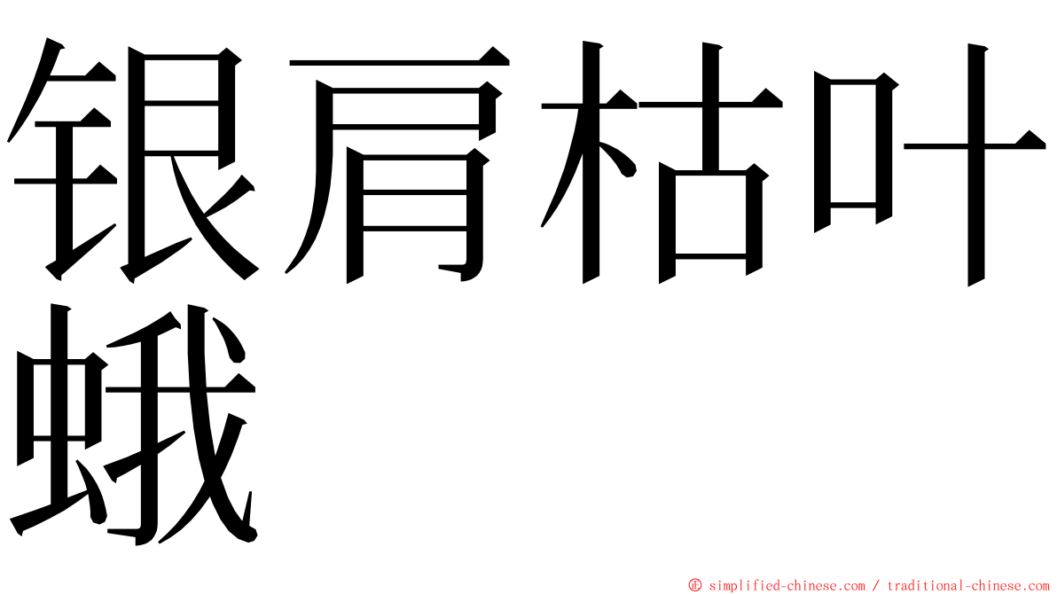 银肩枯叶蛾 ming font