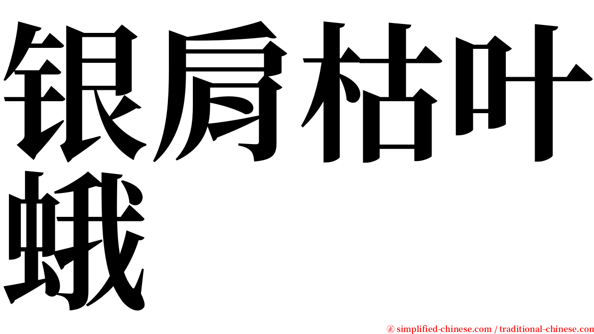 银肩枯叶蛾 serif font