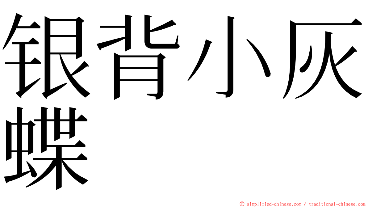 银背小灰蝶 ming font