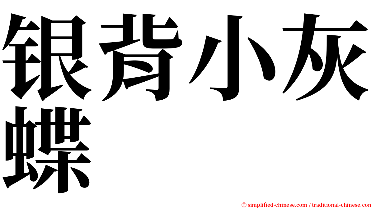 银背小灰蝶 serif font