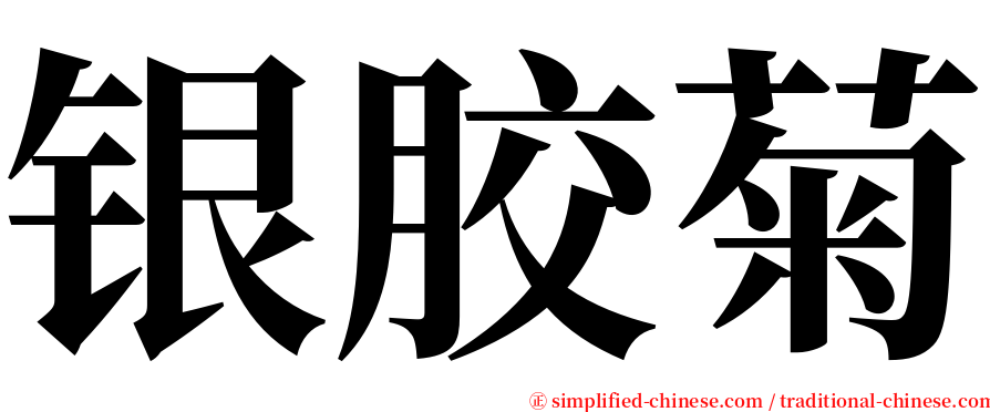 银胶菊 serif font