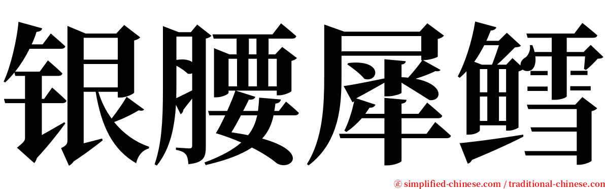 银腰犀鳕 serif font