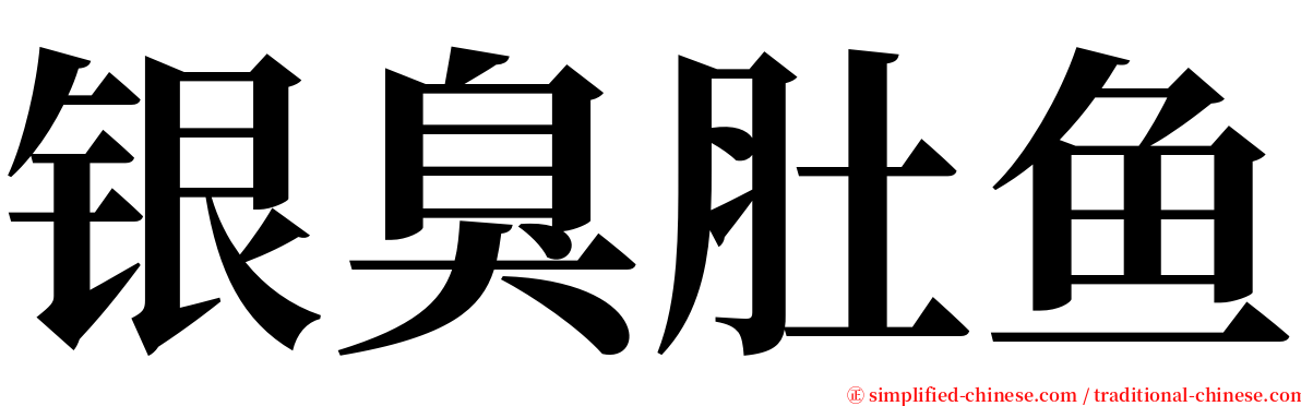 银臭肚鱼 serif font