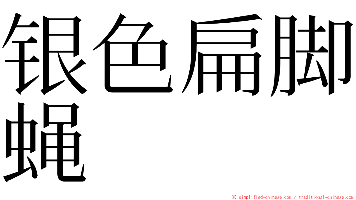 银色扁脚蝇 ming font