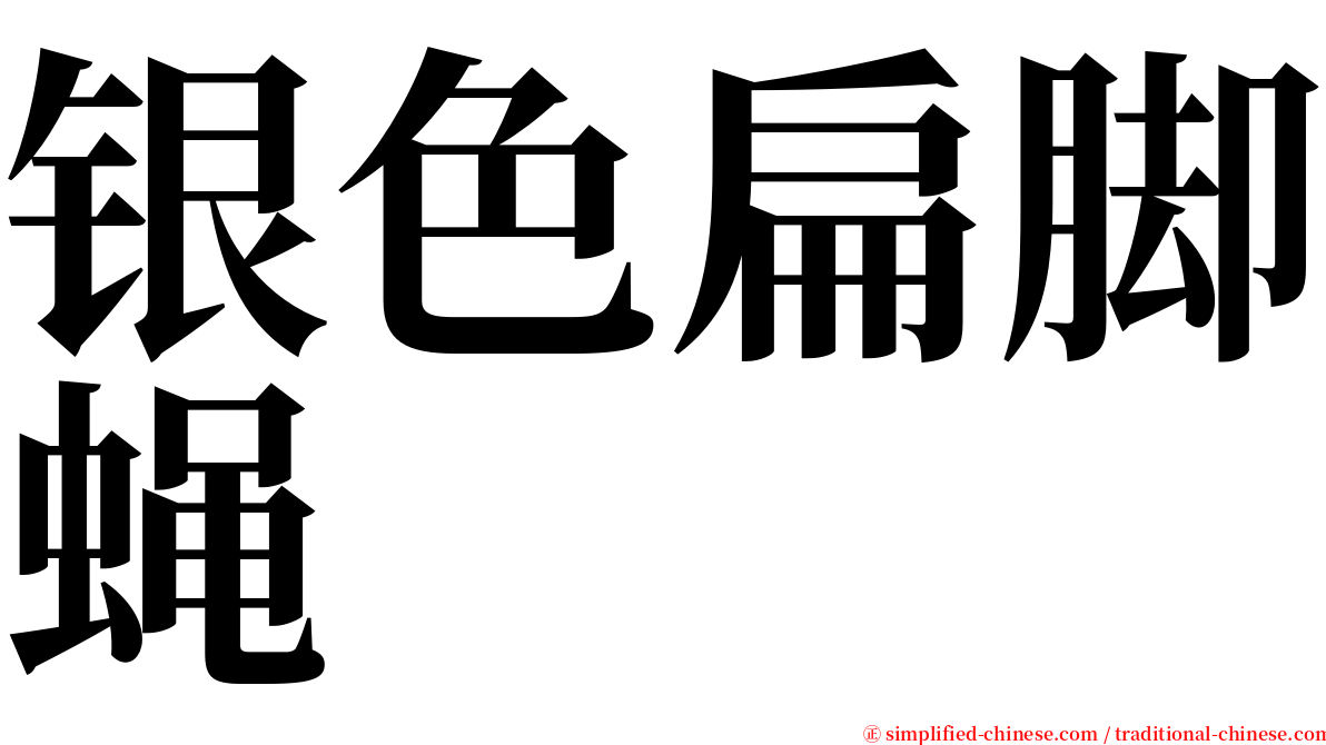 银色扁脚蝇 serif font