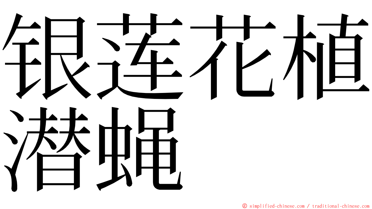 银莲花植潜蝇 ming font