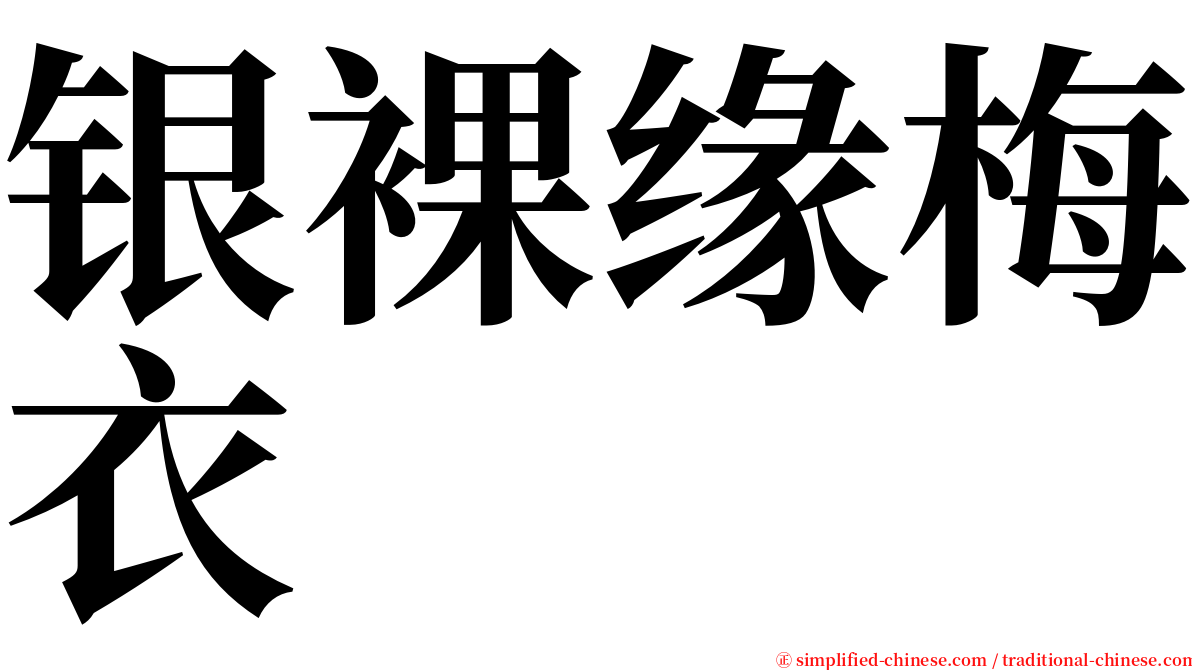 银裸缘梅衣 serif font