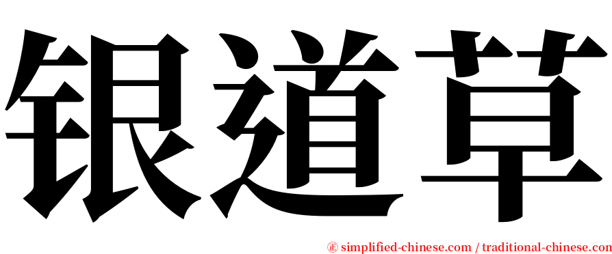 银道草 serif font