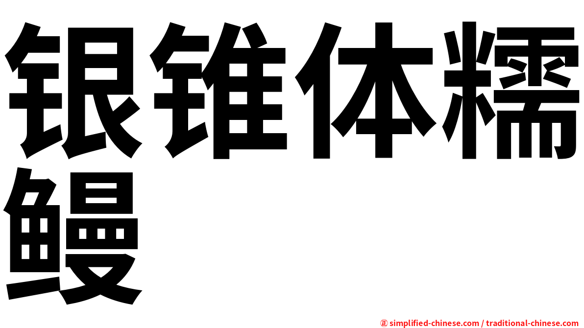 银锥体糯鳗