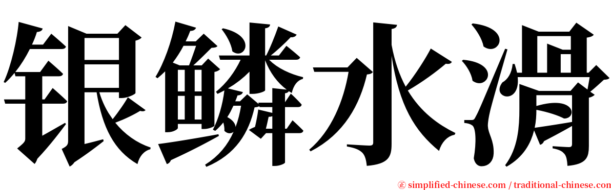 银鳞水滑 serif font