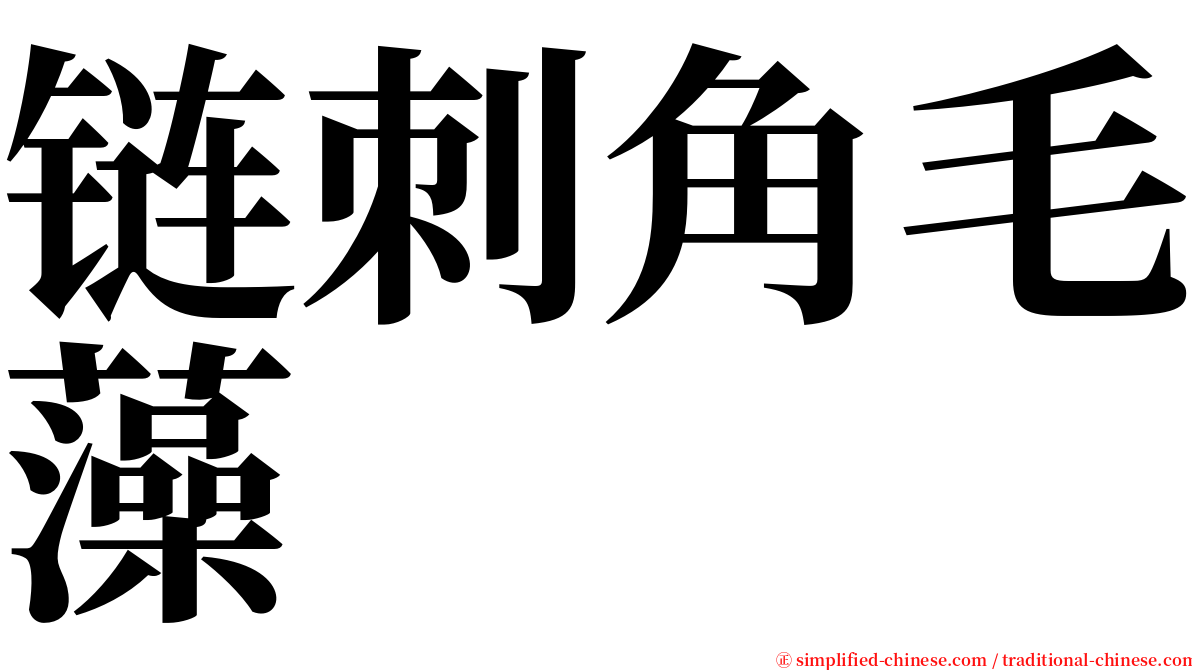 链刺角毛藻 serif font