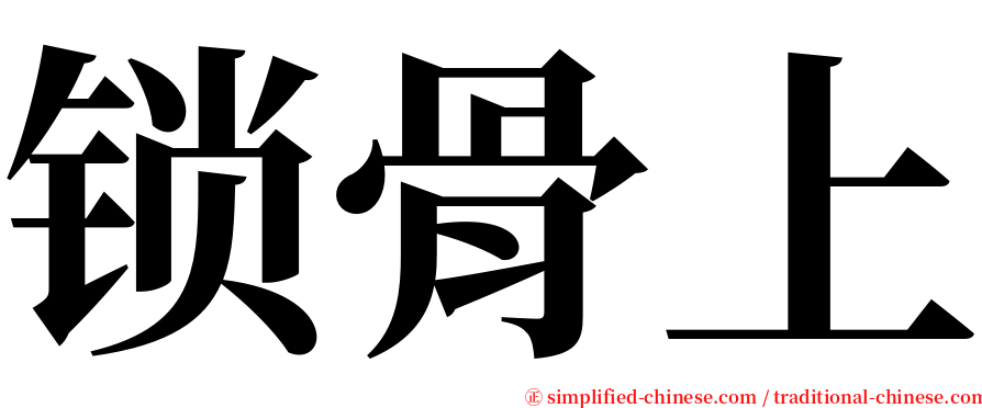 锁骨上 serif font