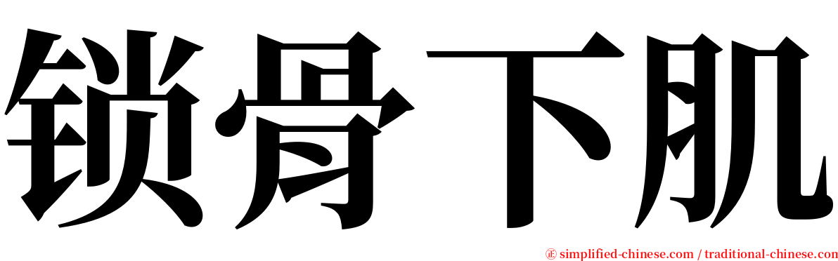 锁骨下肌 serif font