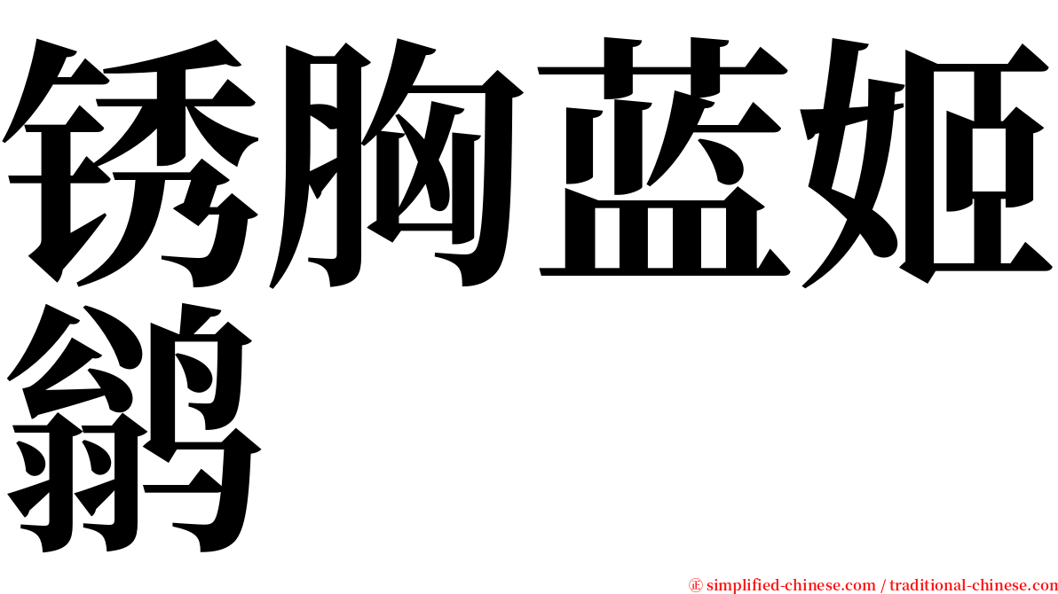 锈胸蓝姬鹟 serif font