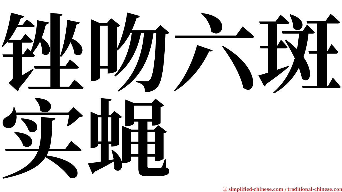 锉吻六斑实蝇 serif font