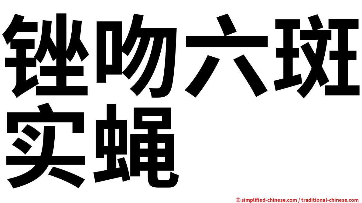 锉吻六斑实蝇