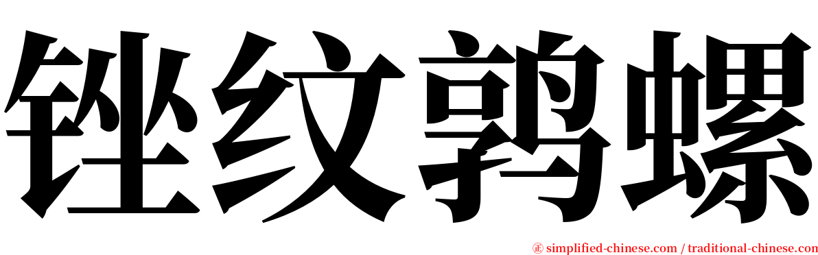 锉纹鹑螺 serif font