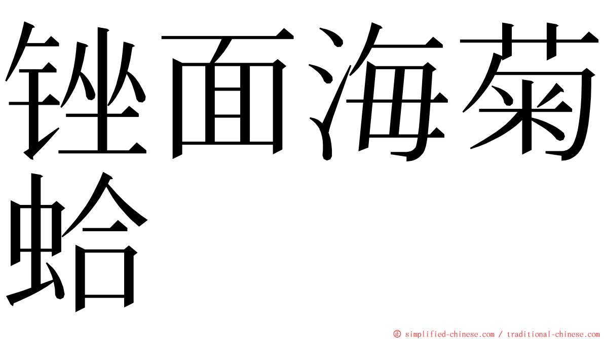 锉面海菊蛤 ming font