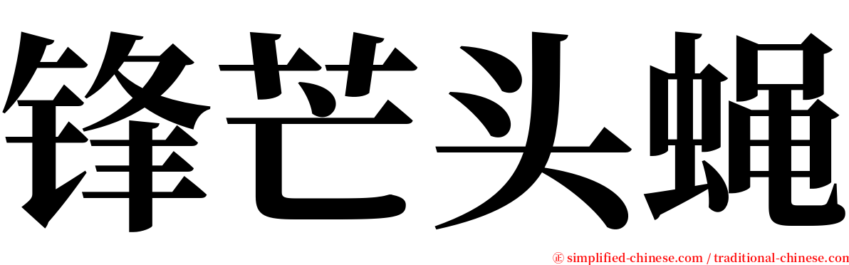 锋芒头蝇 serif font