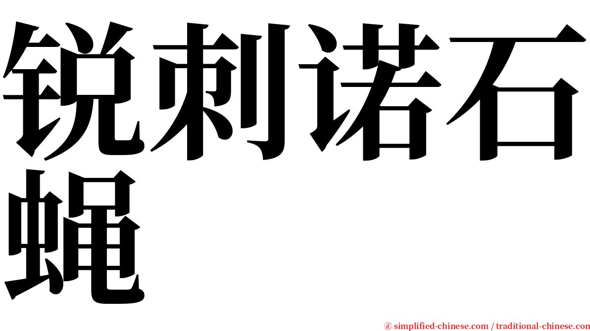 锐刺诺石蝇 serif font