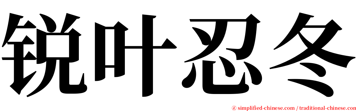 锐叶忍冬 serif font