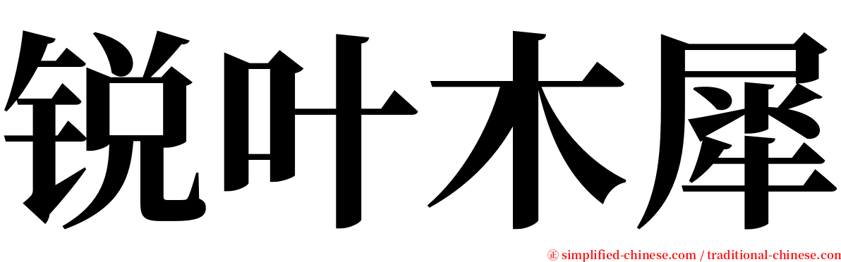 锐叶木犀 serif font