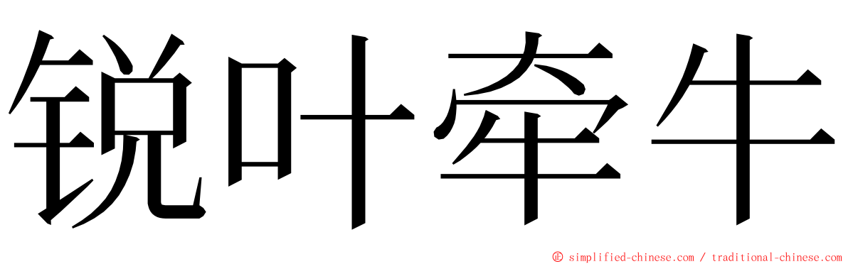 锐叶牵牛 ming font