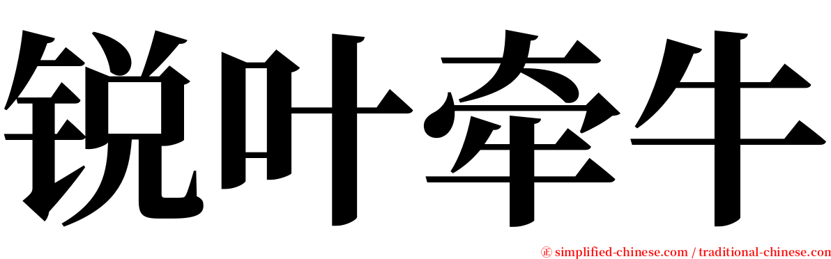 锐叶牵牛 serif font