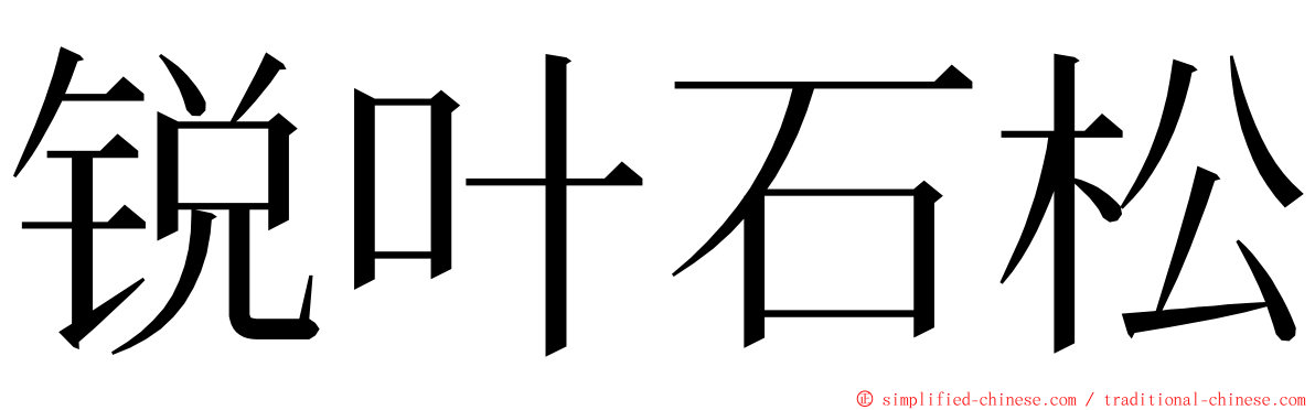 锐叶石松 ming font