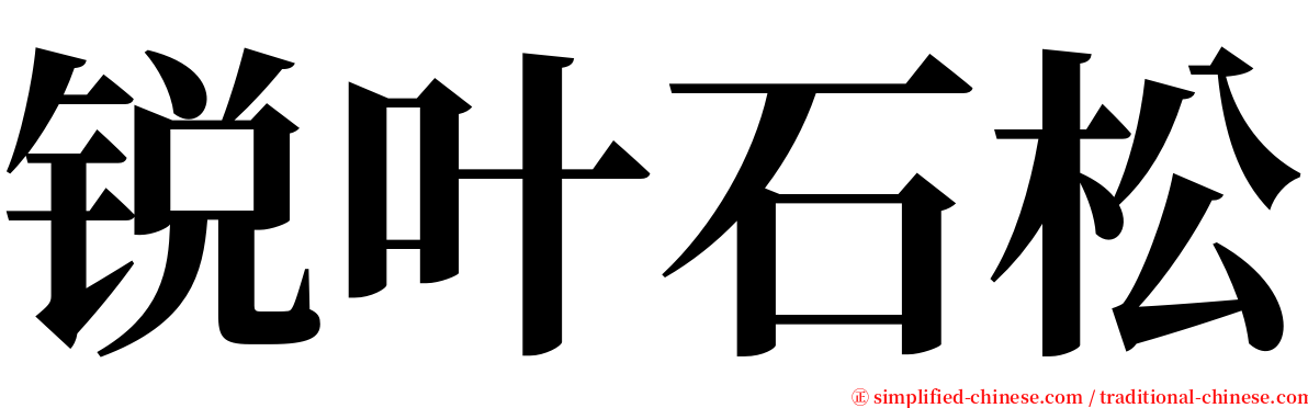 锐叶石松 serif font