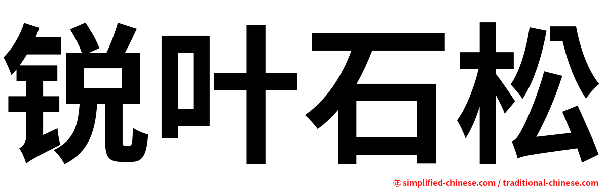 锐叶石松