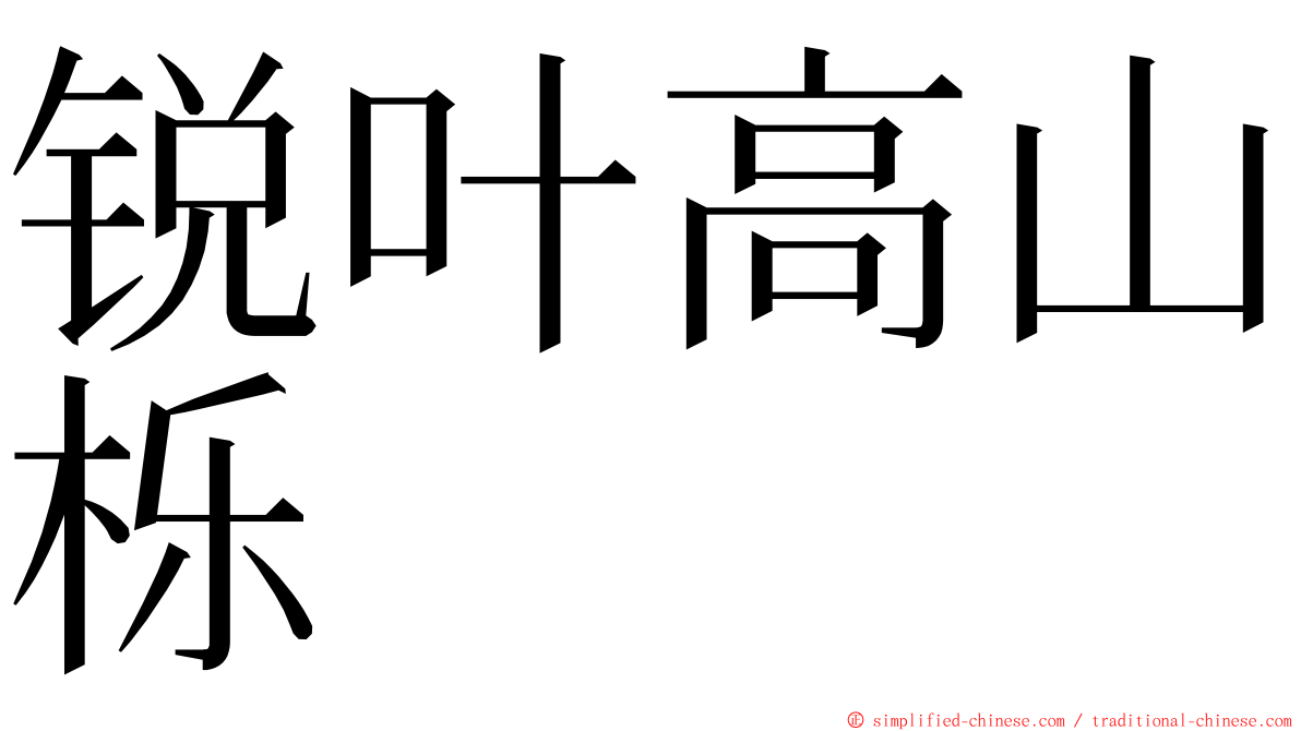 锐叶高山栎 ming font