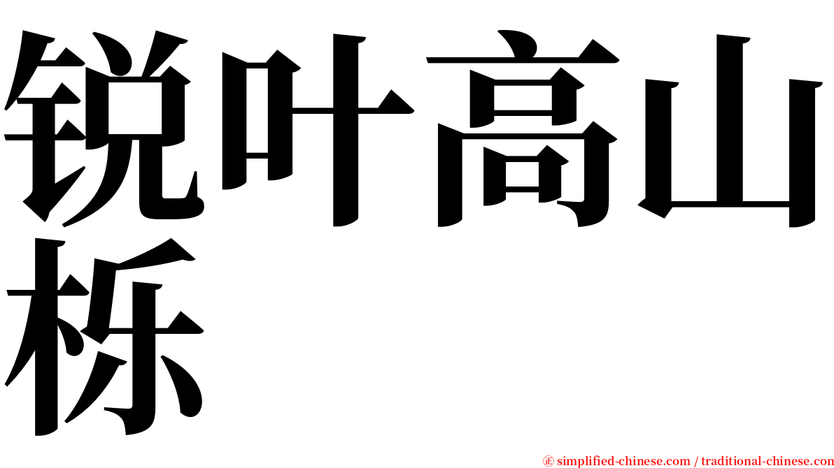 锐叶高山栎 serif font