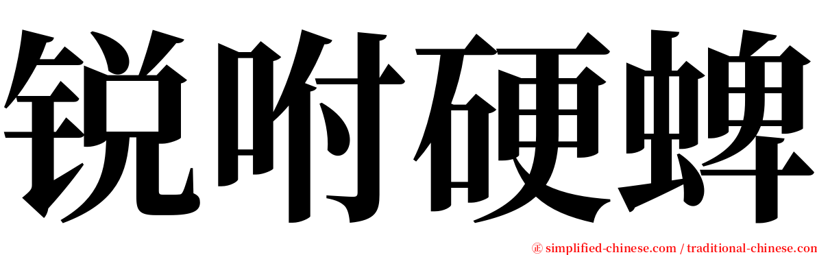 锐咐硬蜱 serif font