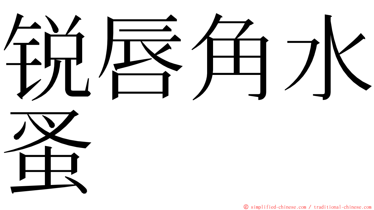 锐唇角水蚤 ming font