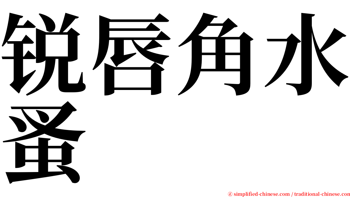 锐唇角水蚤 serif font