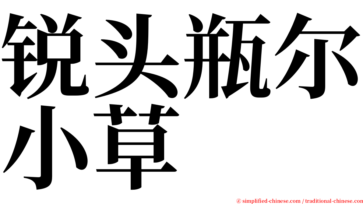 锐头瓶尔小草 serif font