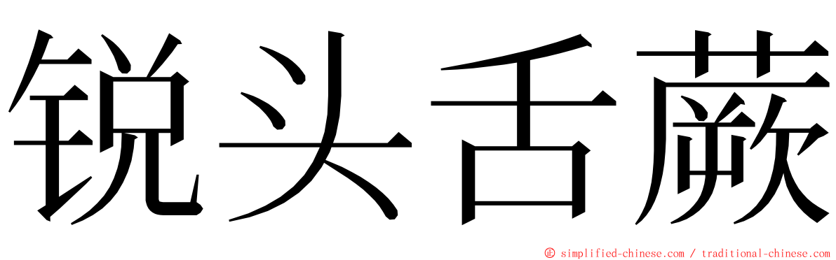 锐头舌蕨 ming font