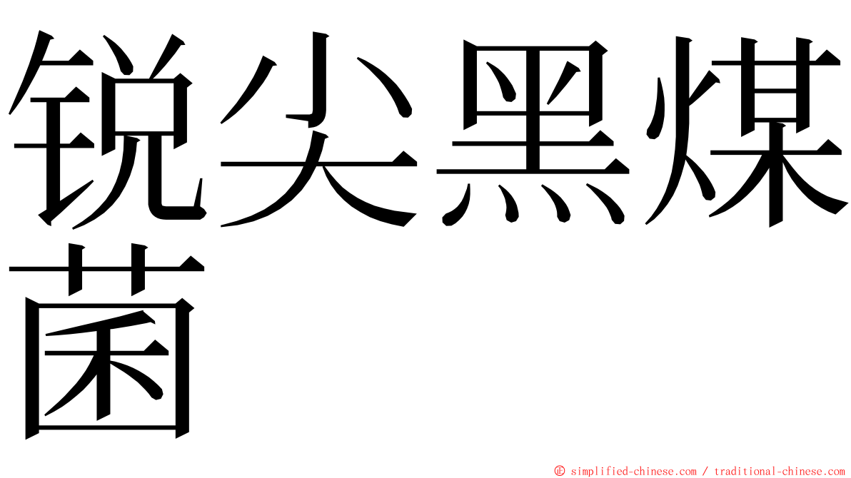 锐尖黑煤菌 ming font