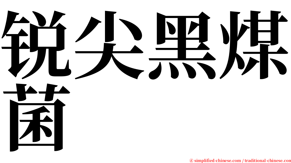 锐尖黑煤菌 serif font