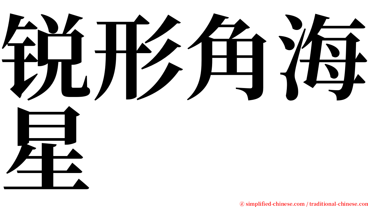 锐形角海星 serif font