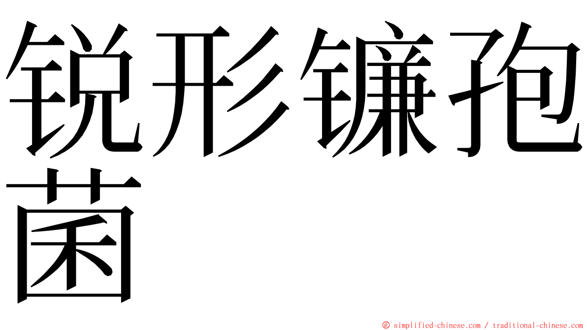 锐形镰孢菌 ming font